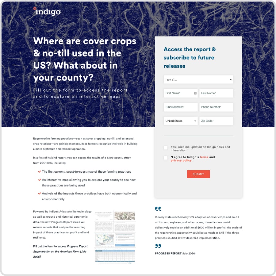 Content_LandingPageExample_Indigo