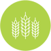 Icon_Industry_Agribusiness_Green_300px